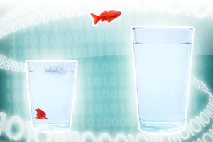 Bild: Fisch springt von Glas zu Glas vor Nullen und Einsen als Symbol für IT Bild: Fisch springt von Glas zu Glas vor Nullen und Einsen als Symbol für IT