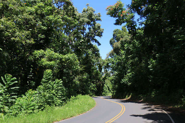 Bild: Road to Hana Hawai Bild: Road to Hana Hawai