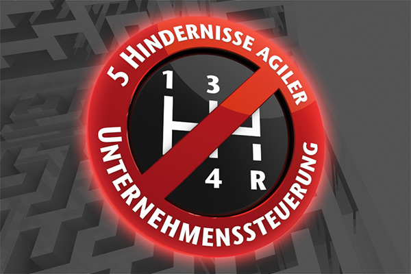 Leitfaden: 5 Hindernisse agiler Unternehmenssteuerung Leitfaden: 5 Hindernisse agiler Unternehmenssteuerung