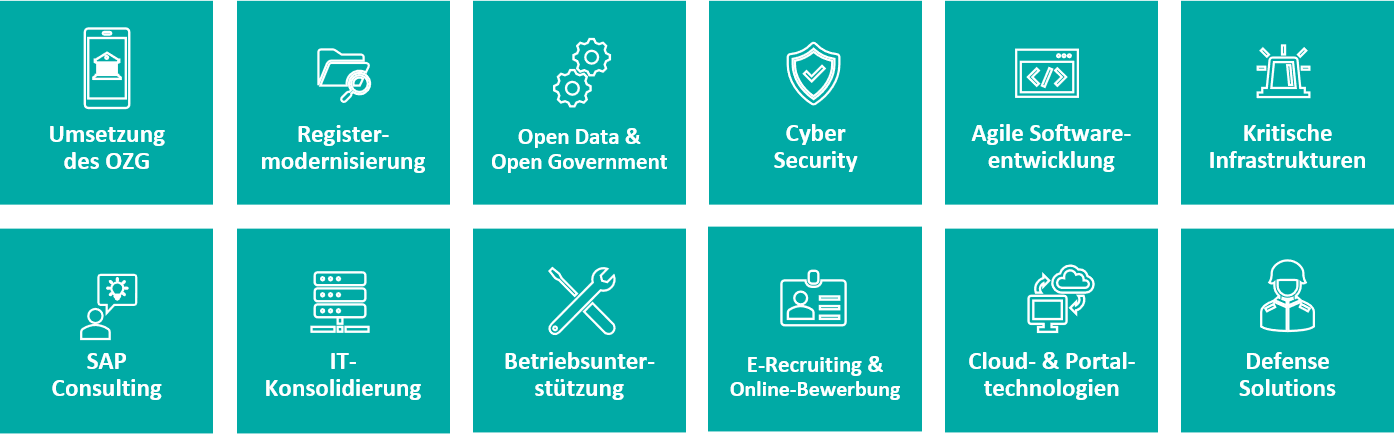 CONET-Leistungen Public Sector