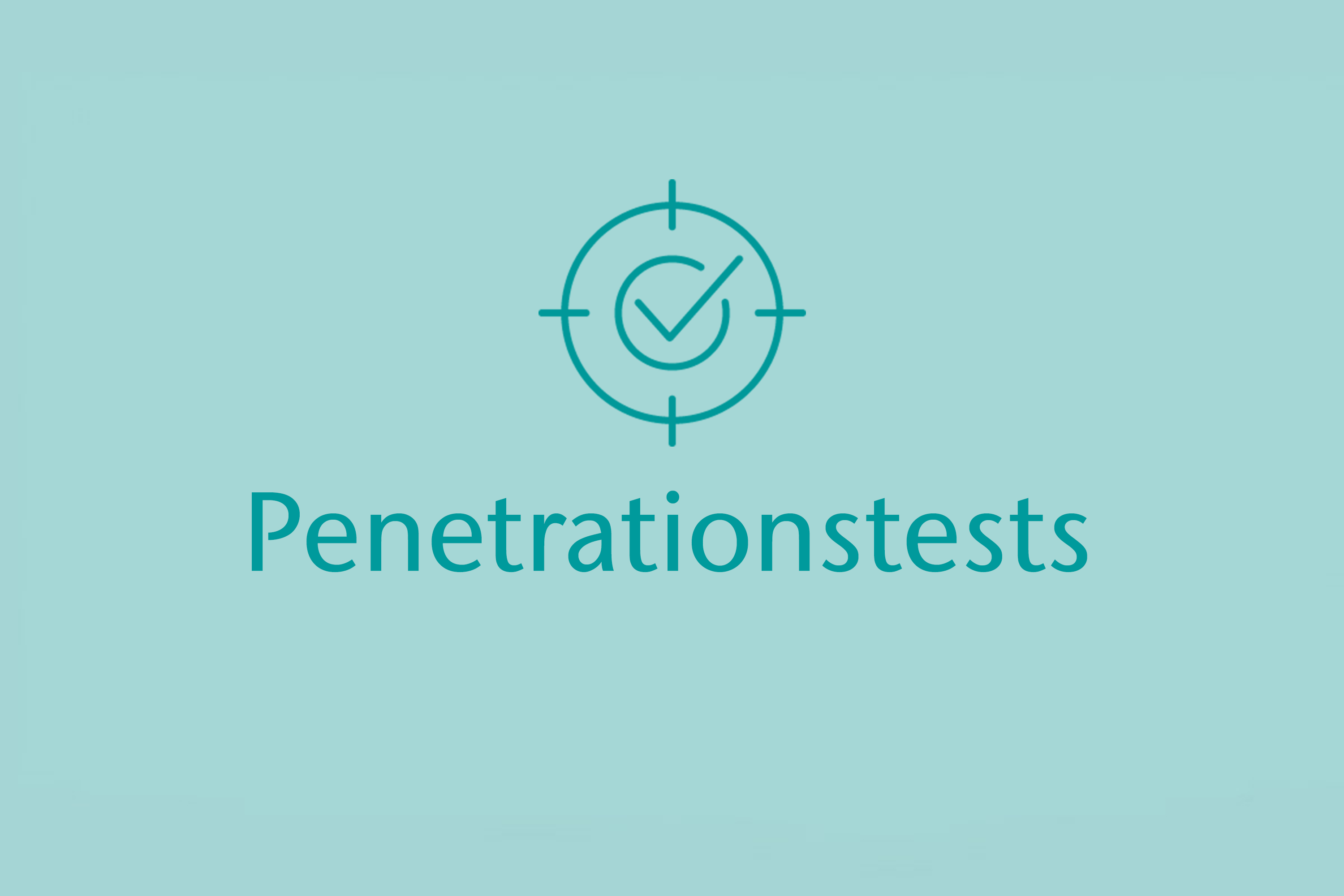 CONET-Cyber-Portfolio-600-Pentests