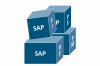 SAP REM Standardprozesse