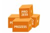 SAP REM Prozesslebezyklus